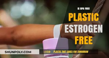 BPA-Free Plastic: Is It Truly Estrogen-Free?