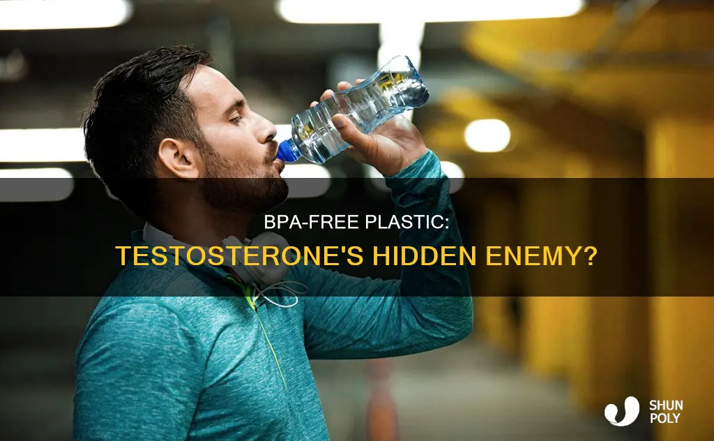 is bpa free plastic harmful to testosterone
