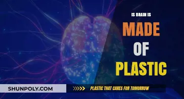 Is Your Brain Plastic? Unraveling the Science of Neuroplasticity