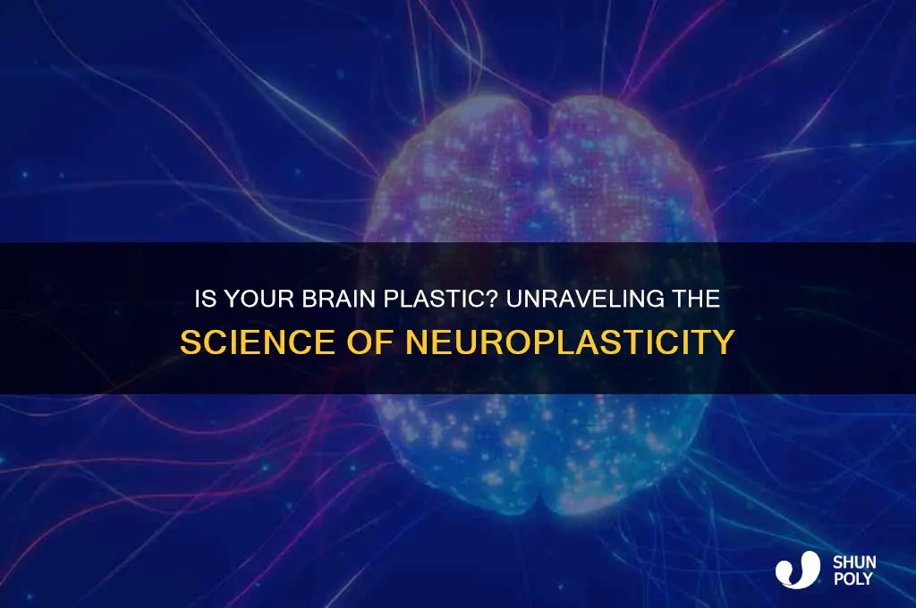 is brain is made of plastic