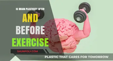 Exercise and Brain Plasticity: Before and After