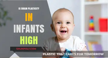 Brain Plasticity: Infants' Superpower