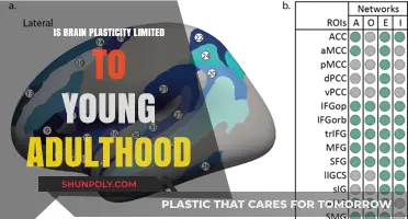 Brain Plasticity: Not Limited to Young Adulthood