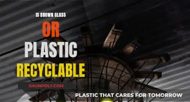 Glass and Plastic: What Brown Recyclables Are Accepted?