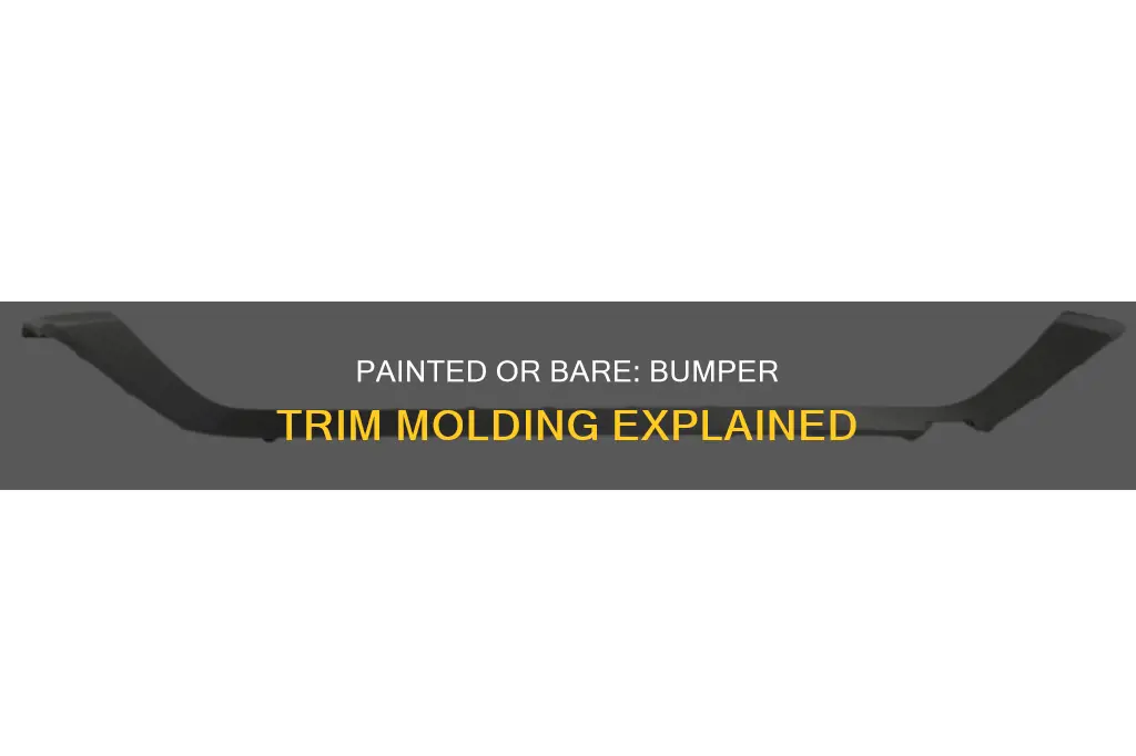 is bumper trim molding painted or bare plastic