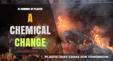 Plastic Burning: Chemical Change or Not?