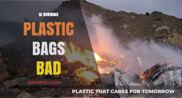 Burning Plastic Bags: Environmental Impact and Health Risks Explained