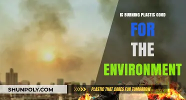 The Harmful Effects of Burning Plastic on the Environment
