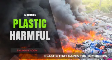 The Hidden Dangers of Burning Plastic: A Toxic Threat Unveiled