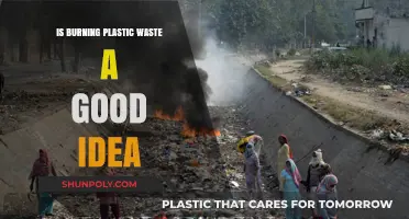 Burning Plastic Waste: Good Idea?