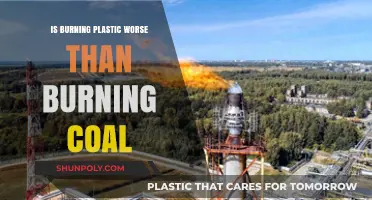 Plastic vs. Coal: Burning Questions on Health and Environment