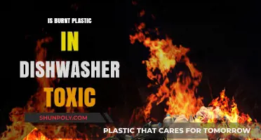 Burnt Plastic in Dishwasher: Toxic or Not?