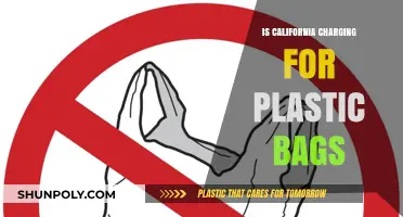 California's Plastic Bag Fee: What You Need to Know