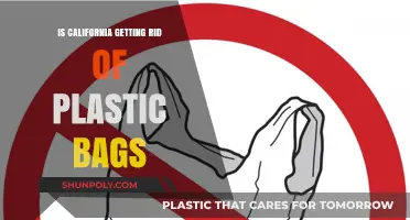 California's Plastic Bag Ban: What It Means for Consumers and the Environment