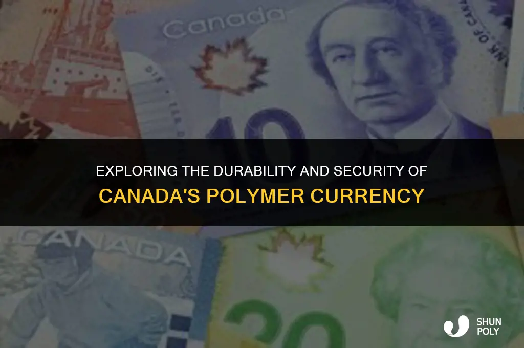 is canada money plastic