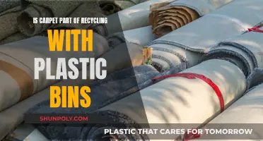 Recycling Mystery: Carpet's Place with Plastic Bins