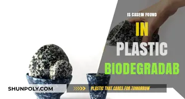 Casein Plastic: Biodegradable or Not?