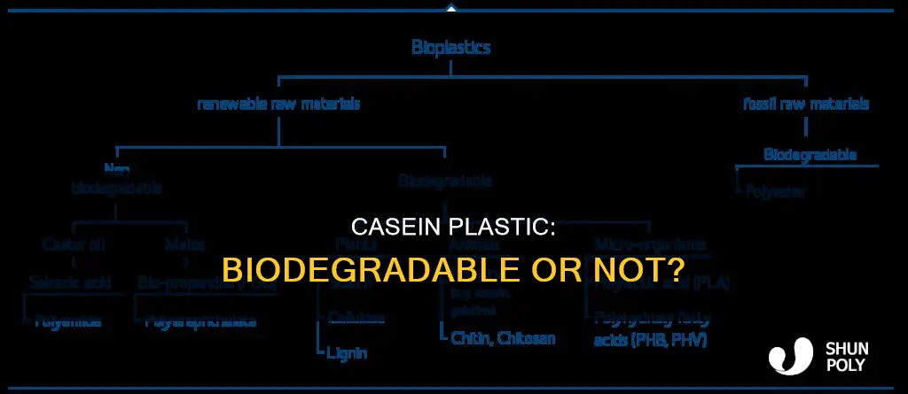 is casein found in plastic biodegradable