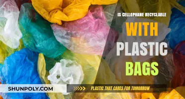 Can Cellophane Be Recycled with Plastic Bags? Eco-Friendly Disposal Tips