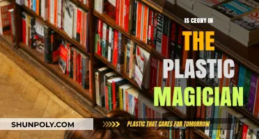 The Plastic Magician: Ceony's Magical Adventure