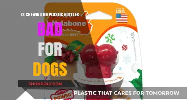 Is Chewing on Plastic Bottles Harmful to Your Dog's Health?