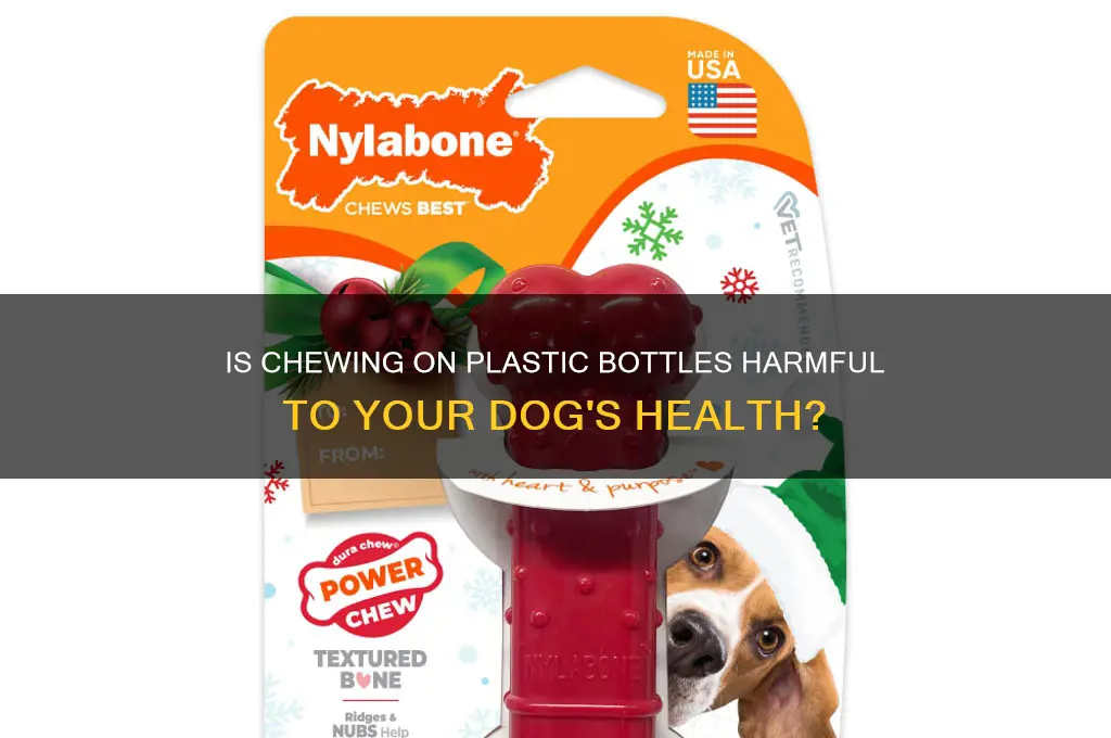 is chewing on plastic bottles bad for dogs