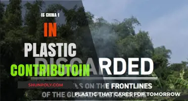 Plastic Pollution: China's Troubling Contribution
