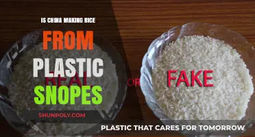 Plastic Rice: China's Fake Food Scandal