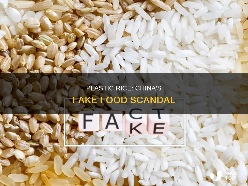 is china making rice from plastic snopes