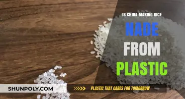 Plastic Rice: China's Food Deception