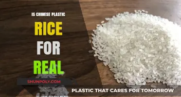 Plastic Rice: Chinese Hoax or Real Health Threat?