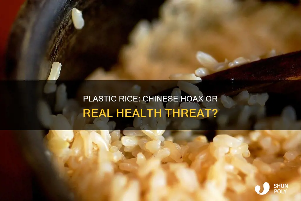 is chinese plastic rice for real