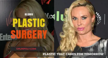 Coco's Transformation: Unveiling the Truth About Her Plastic Surgery Rumors