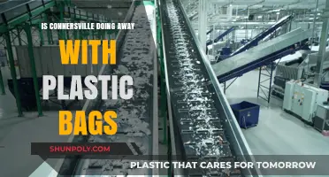 Connersville's Plastic Bag Ban: A Sustainable Shift or Temporary Trend?