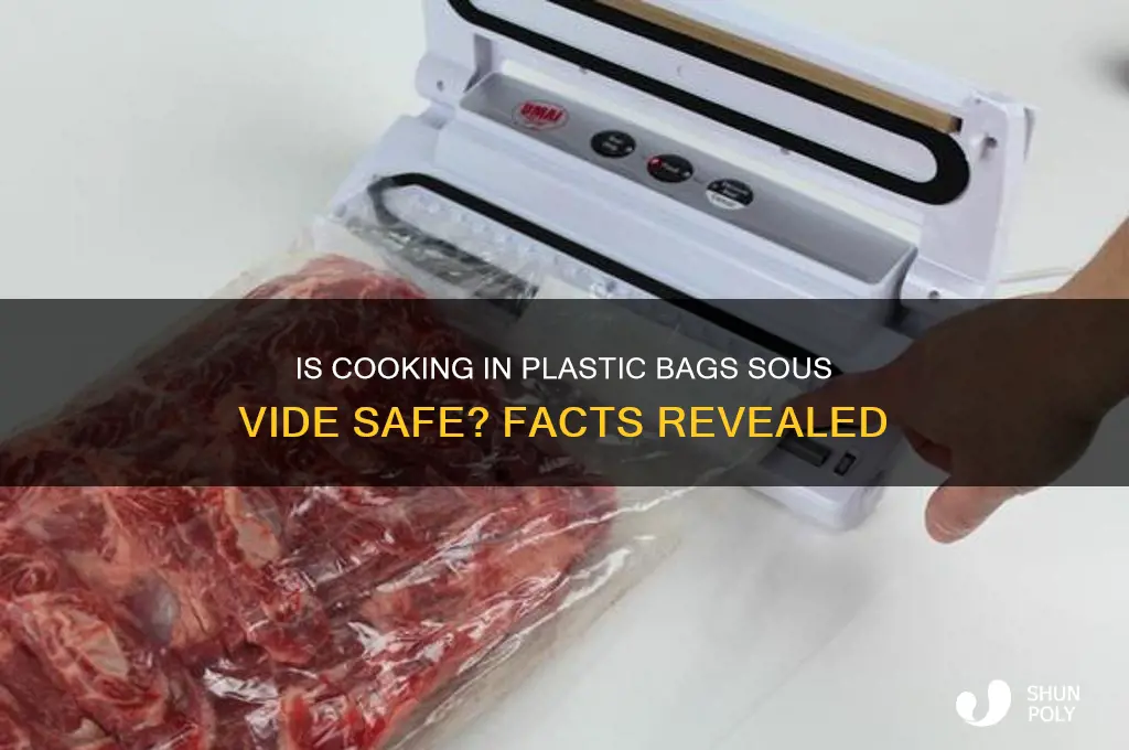 is cooking food plastic bag sous vide safe