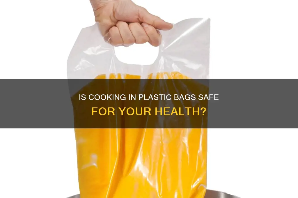 is cooking in plastic bags healthy
