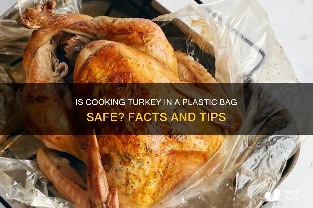 is cooking turkey in a plastic bag safe