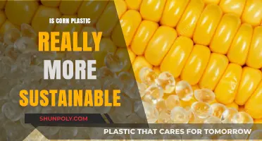 The Truth About Corn Plastic Sustainability