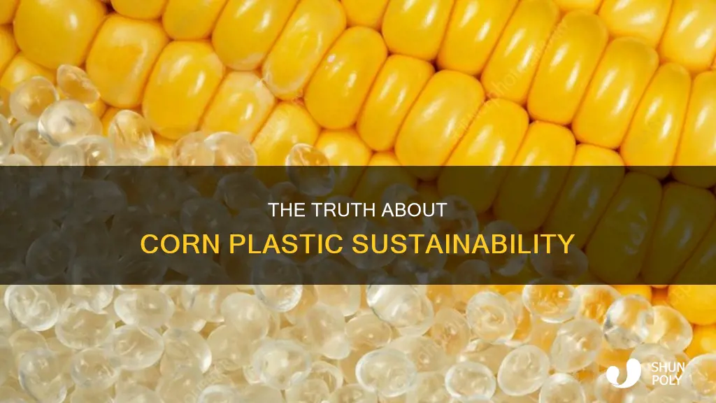 is corn plastic really more sustainable