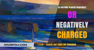 The Culture Conundrum: Plastic's Positive or Negative Charge?