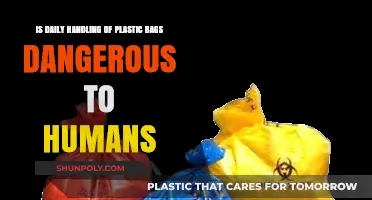 Daily Plastic Bag Exposure: Unseen Health Risks and Safety Concerns