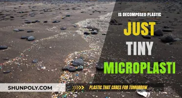 Decomposed Plastic: Microplastics in Disguise?