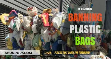 Delaware's Plastic Bag Ban: What You Need to Know