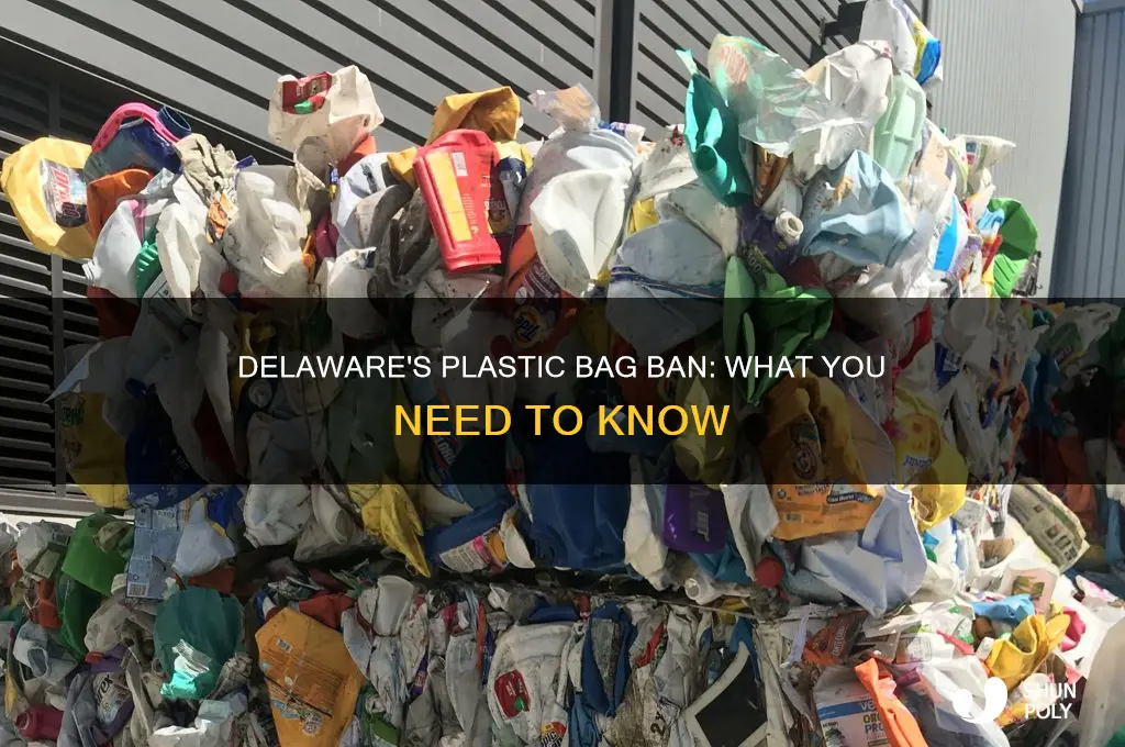 is delaware banning plastic bags