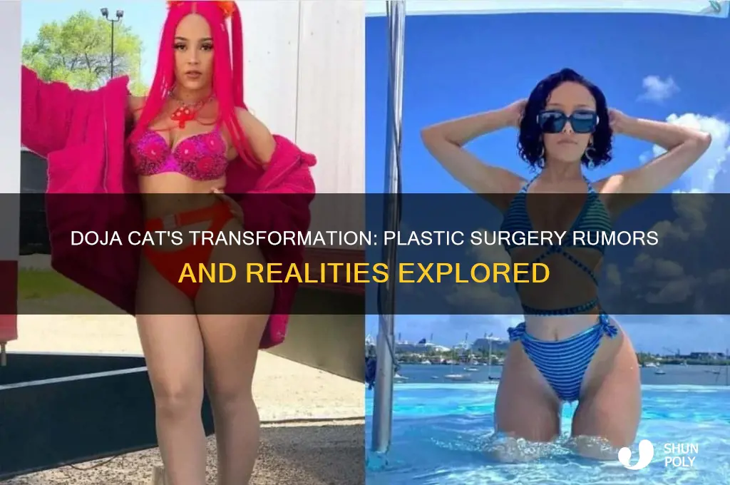 is doja cat plastic surgery