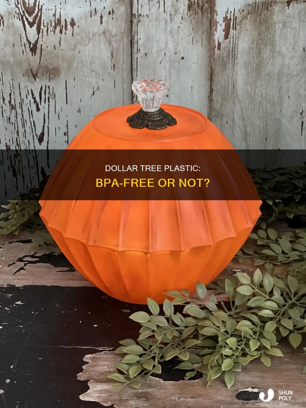 is dollar tree plastic bpa free