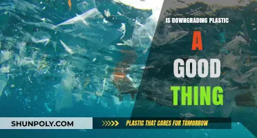 Plastic Downgrading: Is It a Step Towards Environmental Good?