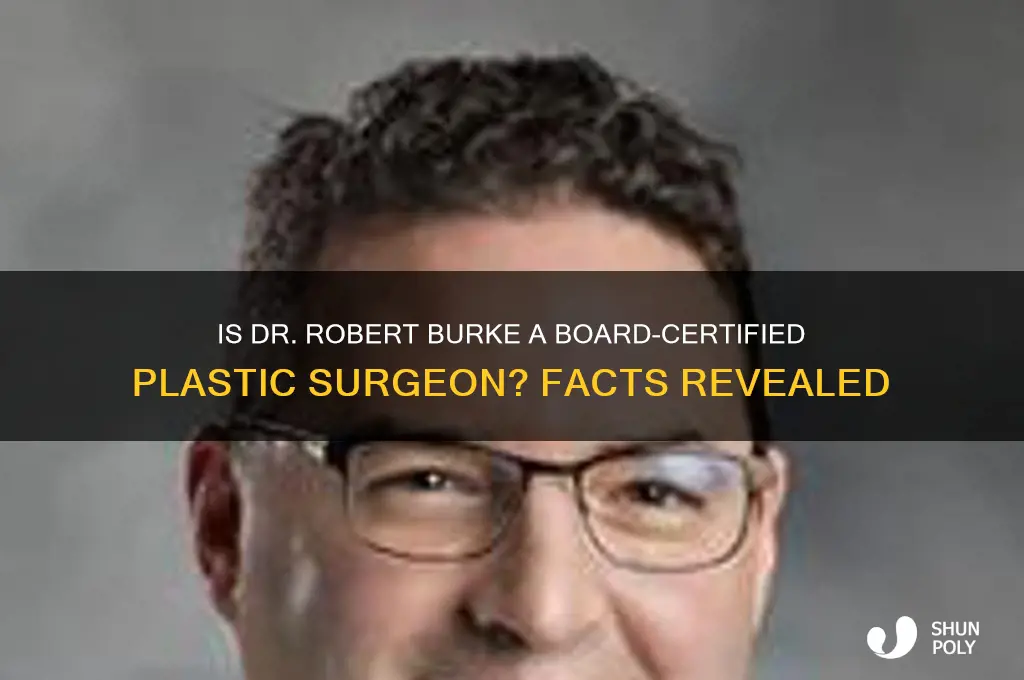 is dr robert burke board certified plastic surgeon