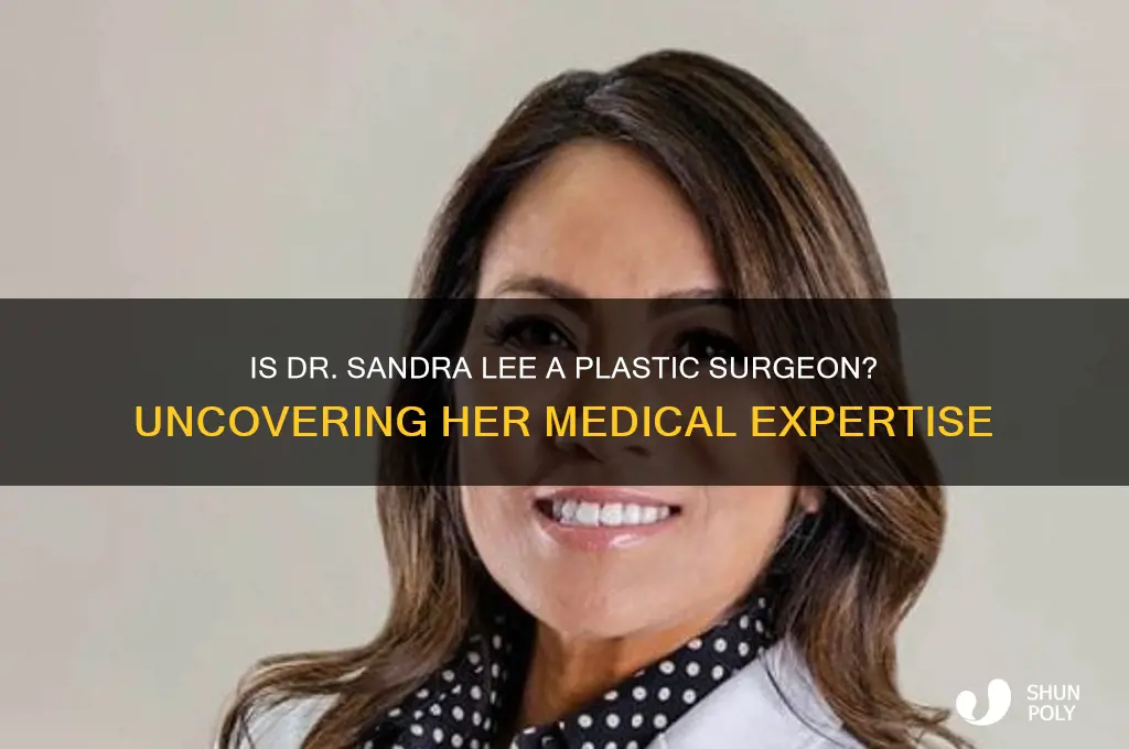 is dr sandra lee a plastic surgeon