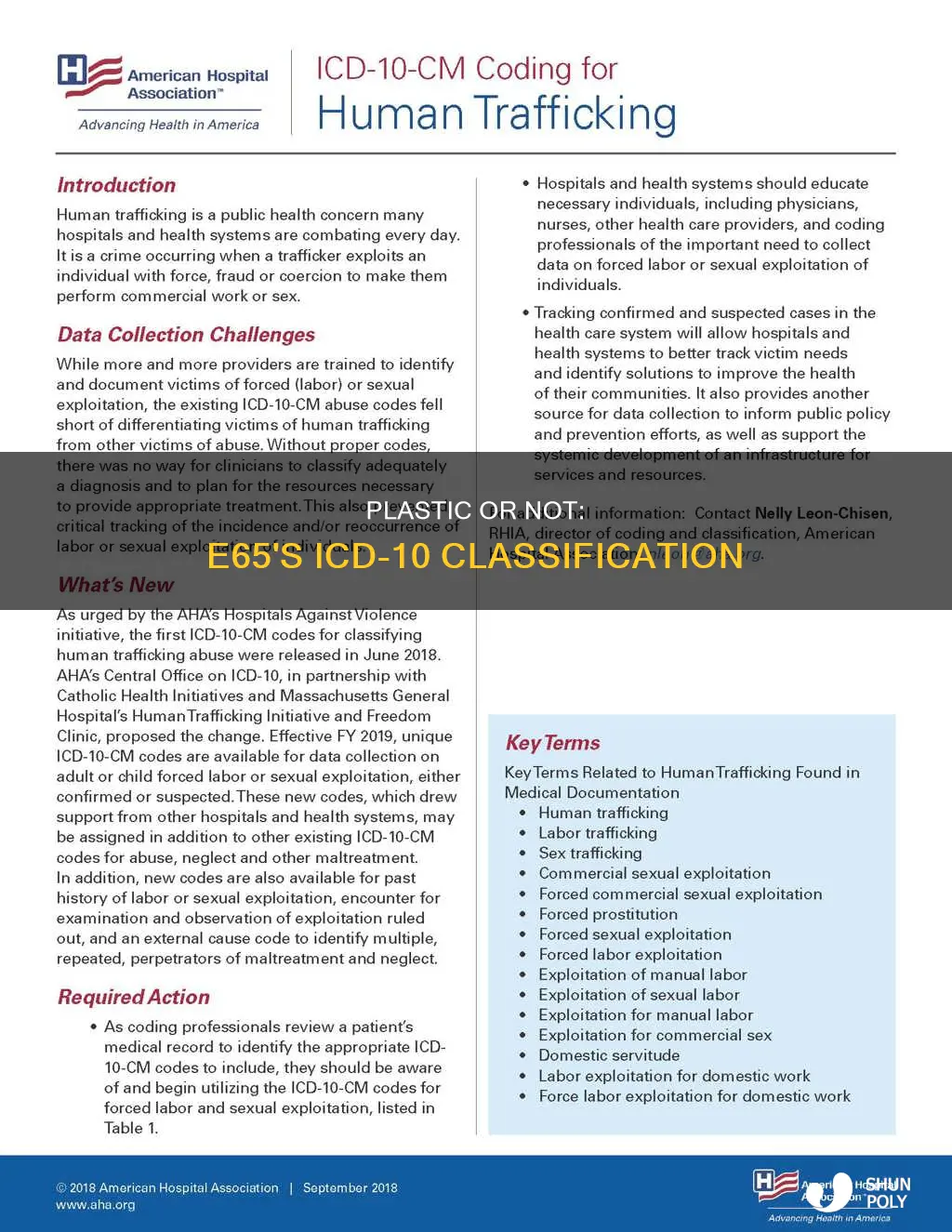 is e65 considered plastic icd 10